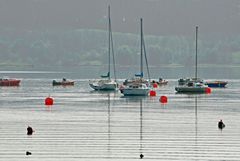 A view of yachts and boats moored on Carsington Water near Hognaston in Derbyshire, England. Link to Inland Boats Gallery.