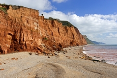 Salcombe Hill cliff, located to the east of Sidmouth in Devon, England. The view looking towards Beer Head shows the red-brown mudstone cliff. Link to Devon Gallery.